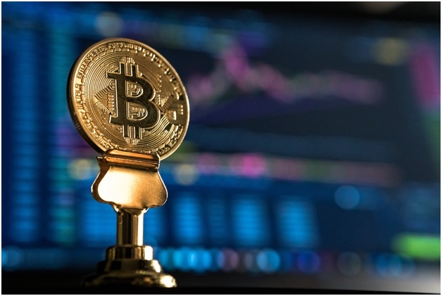 Crypto Investors